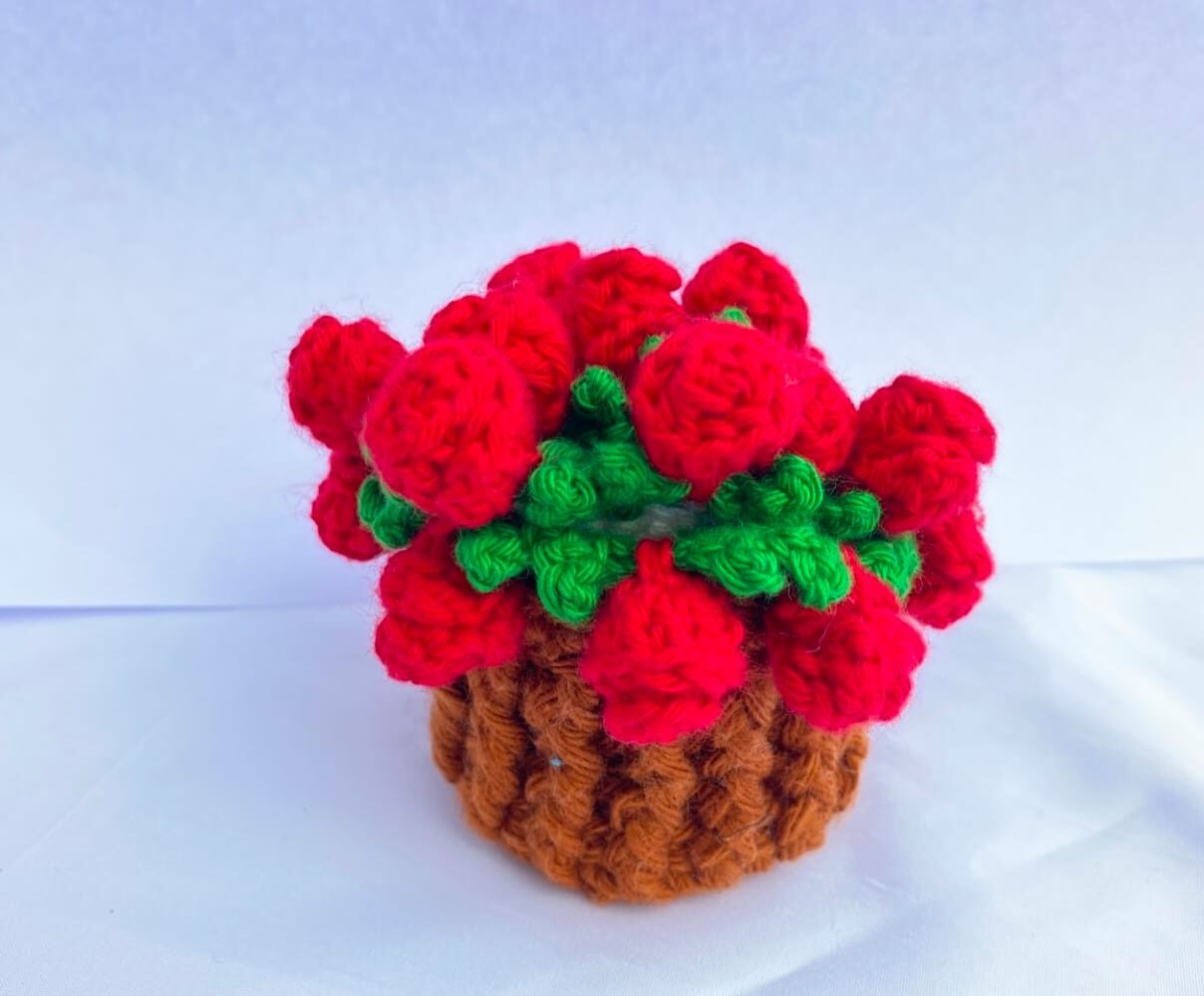 WhatsApp Image 2025-10-29 at 21.58.21_65495612