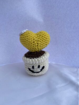 Handmade Smiley Heart Pot