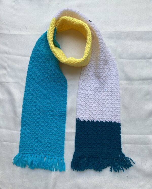 IMG_20251014_142257 Woolen Cowl Scarf